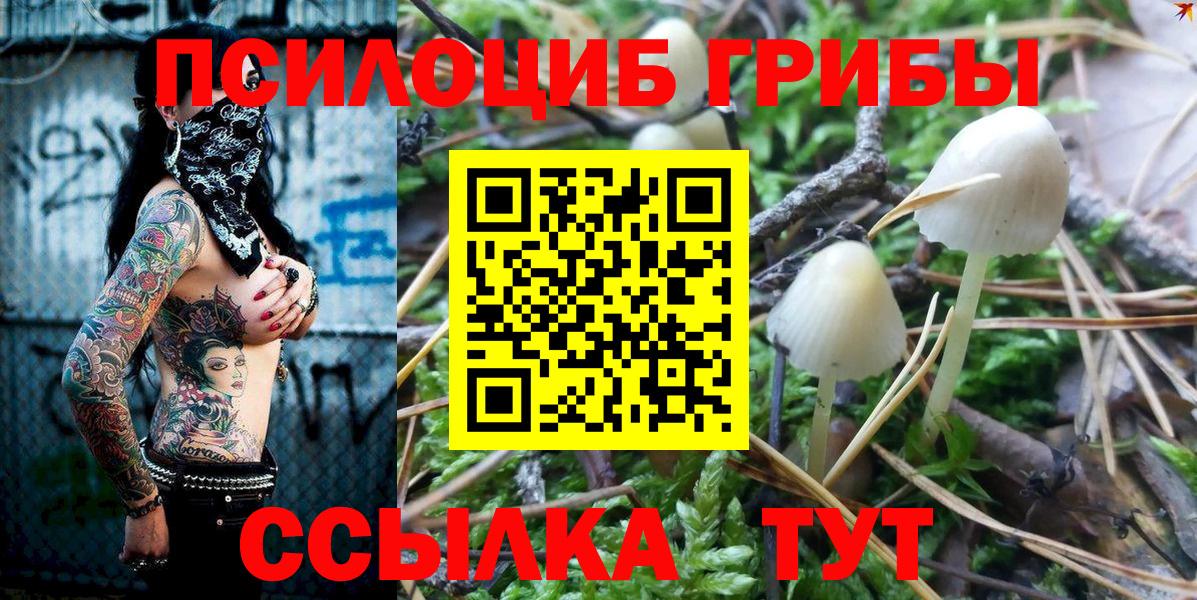 Галлюциногенные грибы прущие грибы Солнечногорск